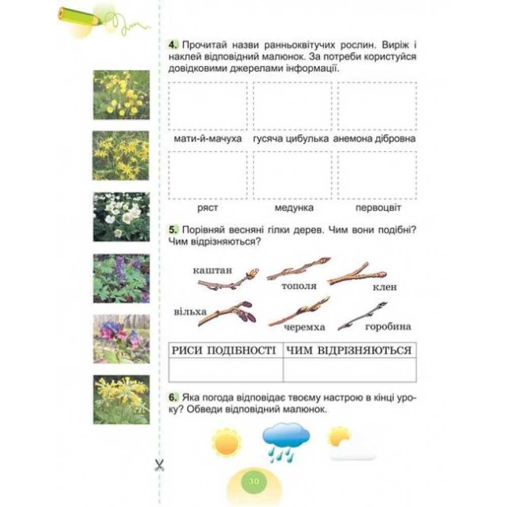 Я досліджую світ. 2 клас. Робочий зошит. 2 частина - Гільберг