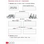 3 клас. Українська мова та читання. Робочий зошит. 1 частина (до підручника Іщенко) . Зарольська)
