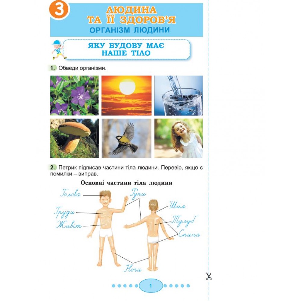 Я досліджую світ. 3 клас. Робочий зошит. 2 частина - Гільберг