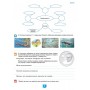 Біологія. 7 клас. Біологія. Робочий зошит.Практичні роботи - Кулініч