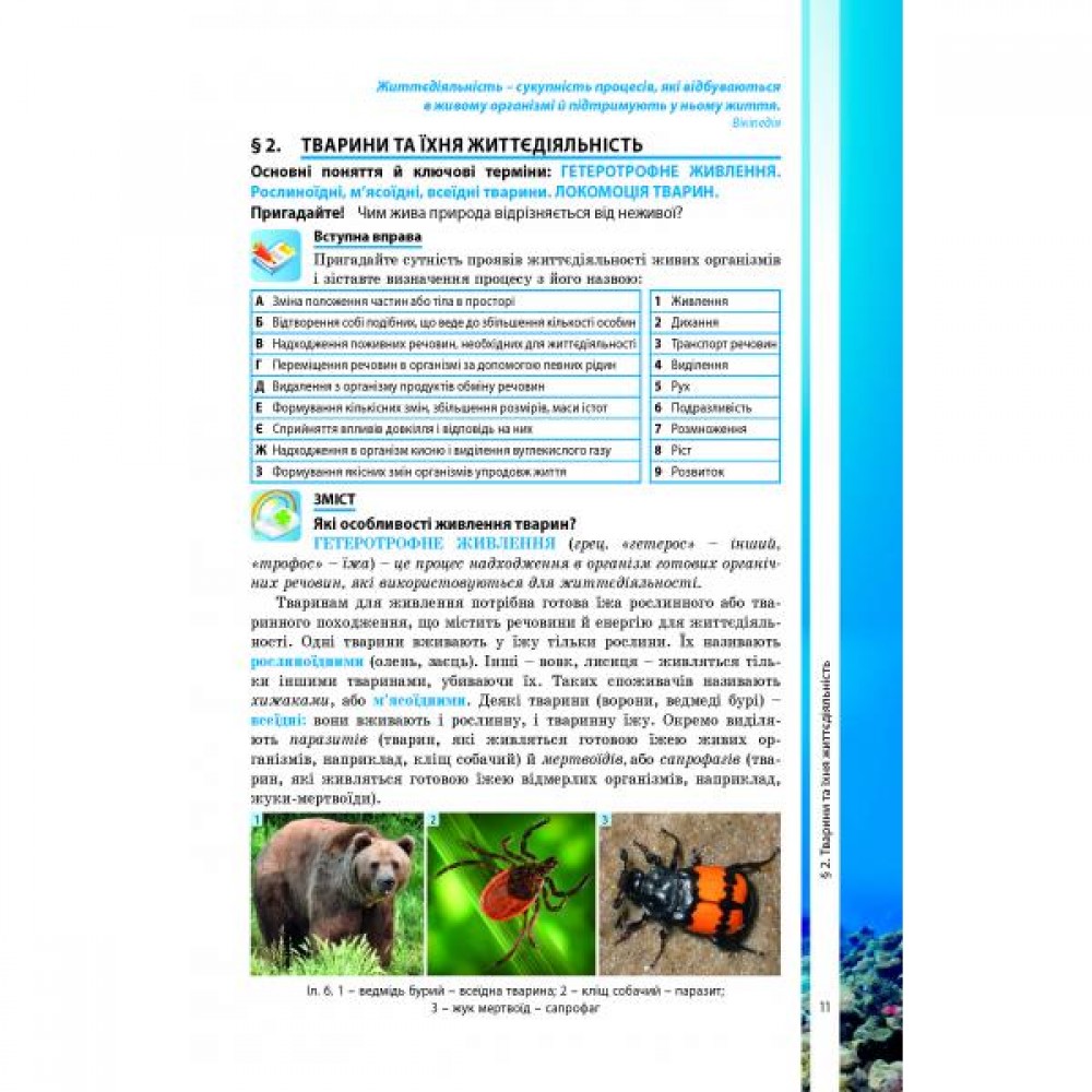 Біологія. Підручник. 7 клас - Соболь