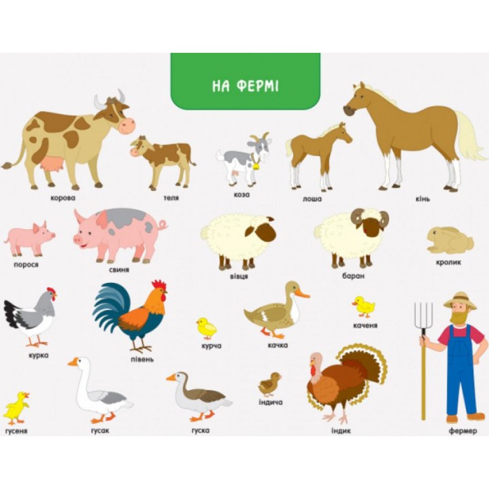 Ура, ми заговорили! Хто і де? (9786170946454)