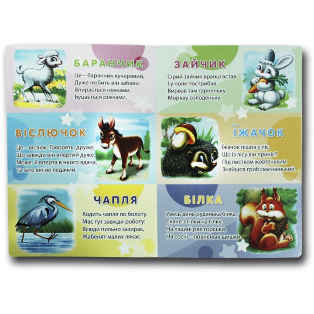 Велика книга Хто це? Песик - Морозенко (9789668377716)