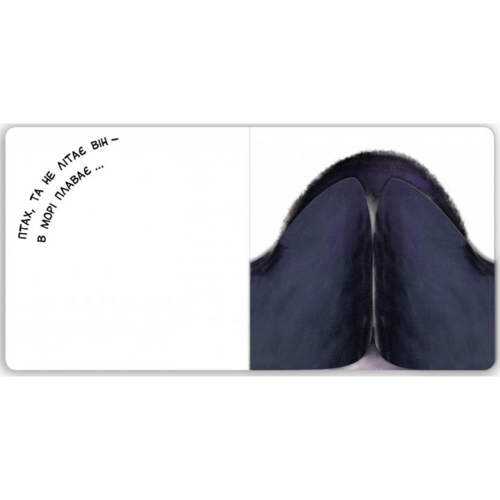 Хто там? - Василь Федієнко (9789664296783)