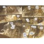 Монстриця. Том 4. Обрана – Марджорі Лю
