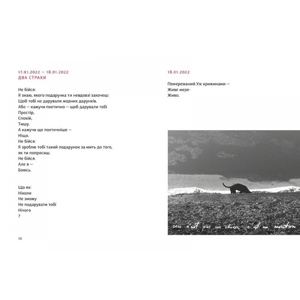 PRIMITIVO Маряна Прохасько (9789664481042)