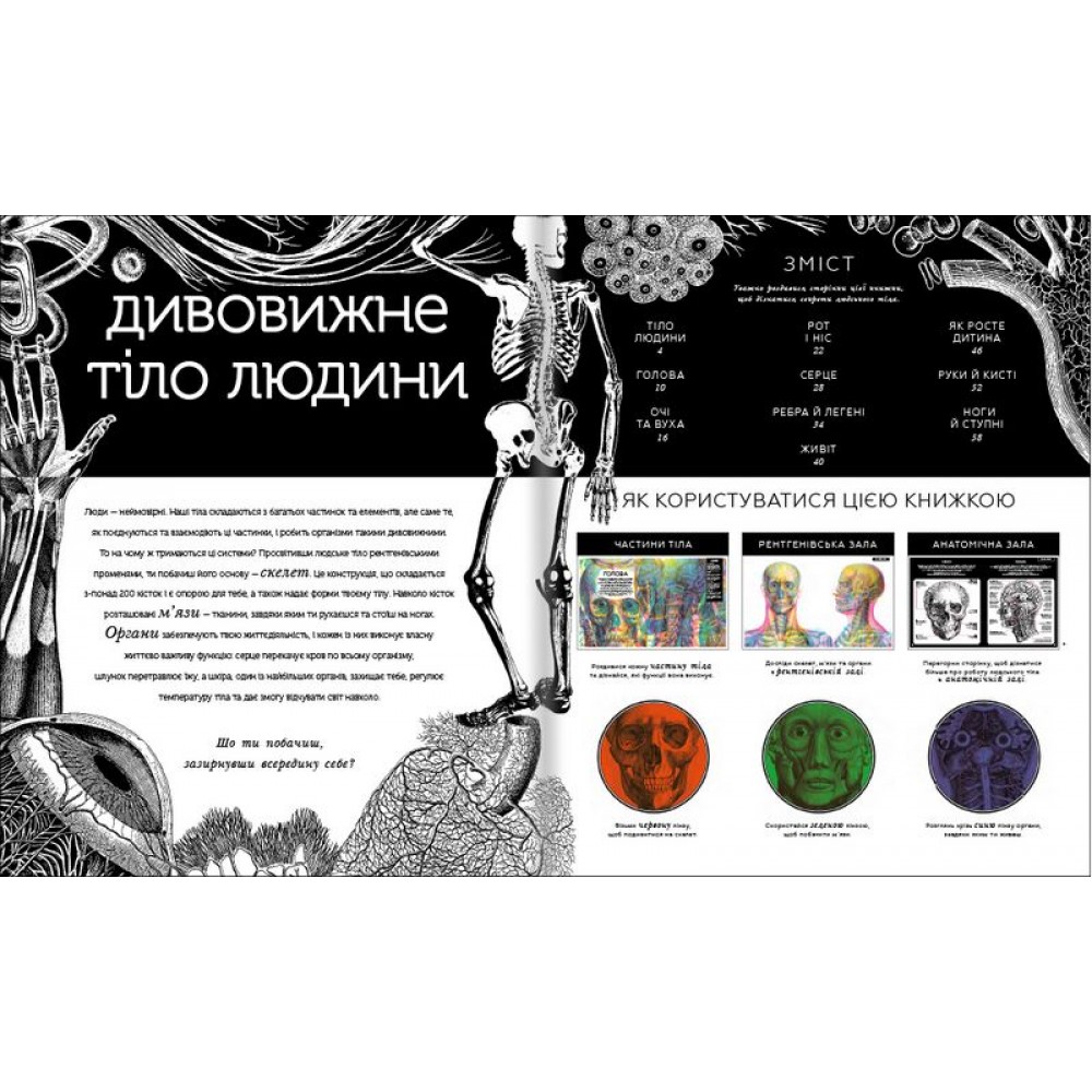 Прихований світ людського тіла - Кейт Дейвіс