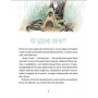Зараз щось як розкажу! Весела книжка чудес та історій - Слава Світова