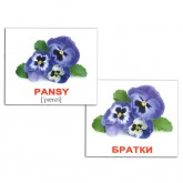 Міні-картки Домана "Квіти / Flowers" укр/англ. Вундеркінд з пелюшок - Картки Домана