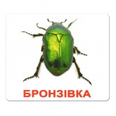 Ламіновані картки Домана "Комахи" українською Вундеркінд з пелюшок - Картки Домана