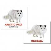 Міні-картки Домана "Дикі тварини / Wild animals" укр/англ. Вундеркінд з пелюшок - Картки Домана