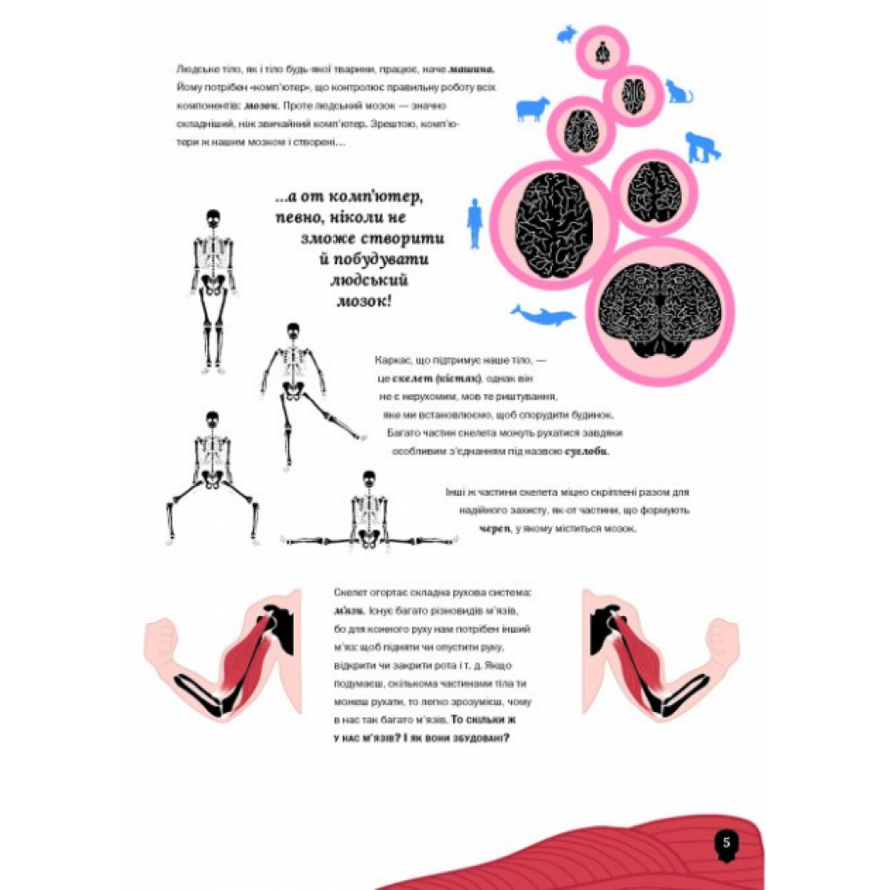 Тіло людини - Крістіна Перабоні