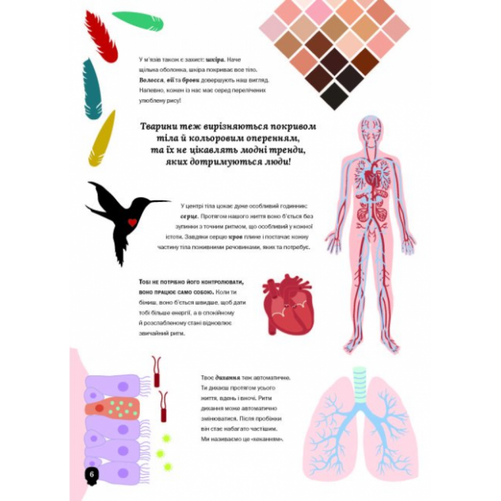 Тіло людини - Крістіна Перабоні
