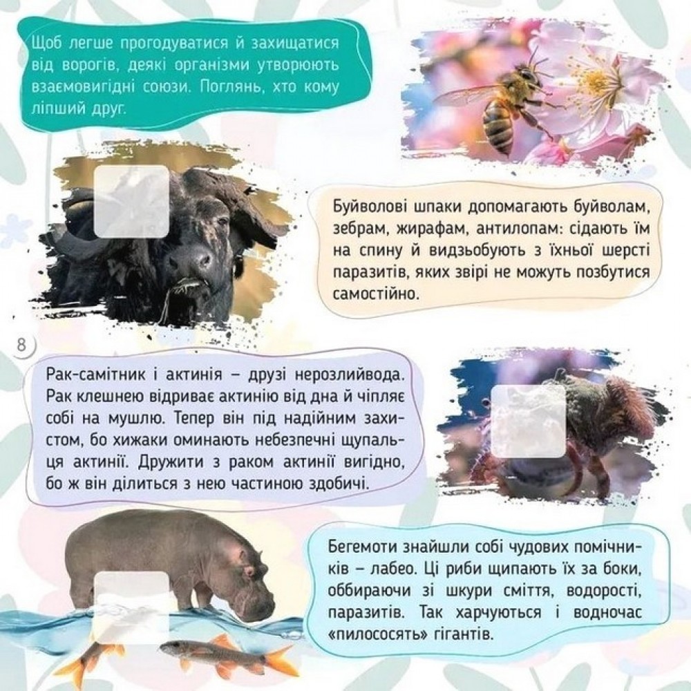 Комахи - Катерина Шаповалова