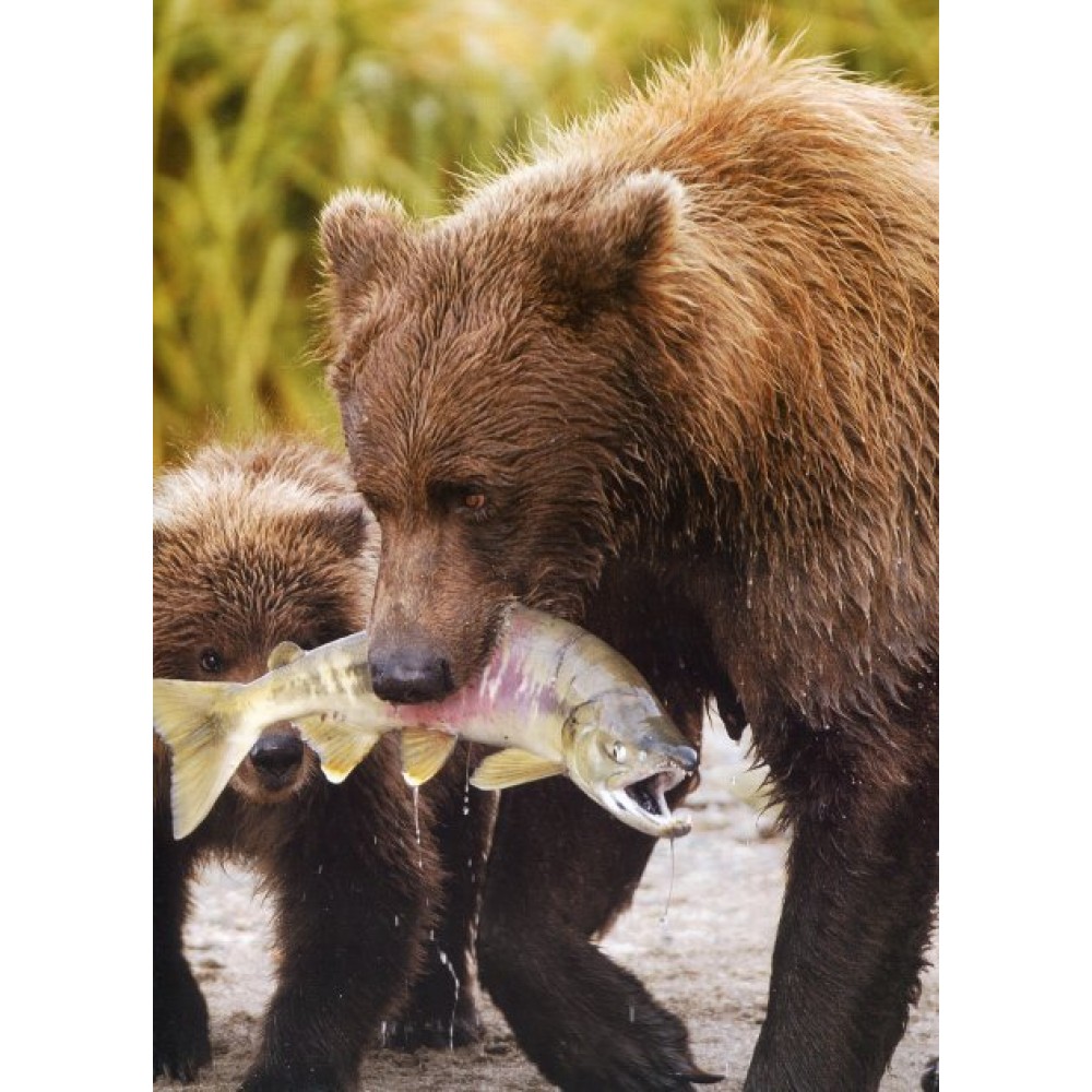 Ілюстрований Атлас. Світ тварин