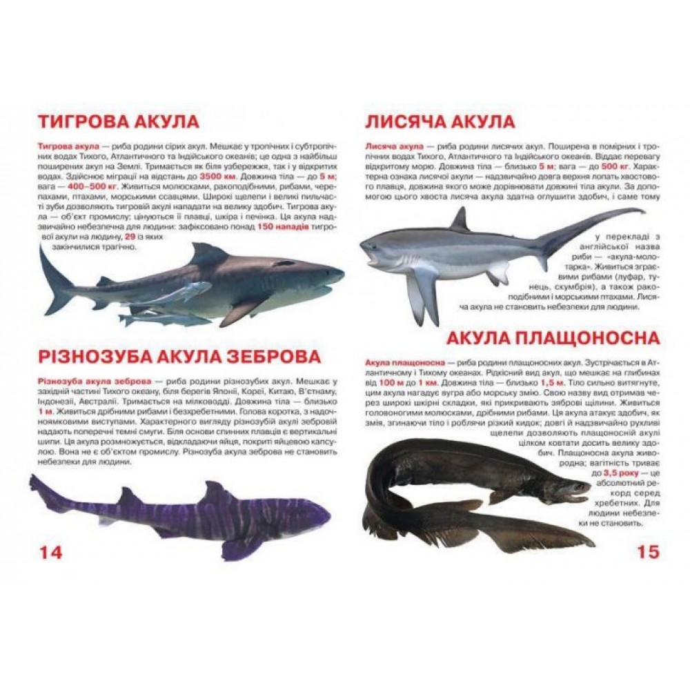 Світ навколо нас. Велика книжка. Акули - Олег Зав'язкін