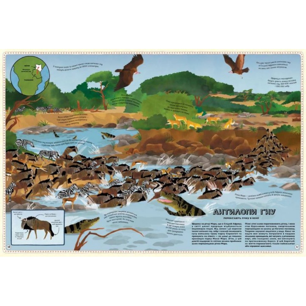 Атлас Тварин - Емілі Хокінс, Рейчел Вільямс