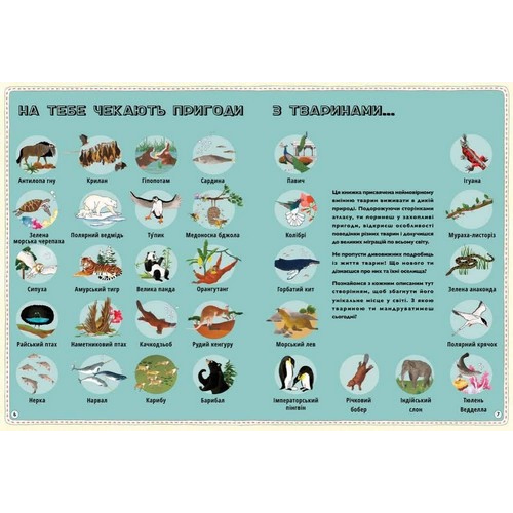 Атлас Тварин - Емілі Хокінс, Рейчел Вільямс