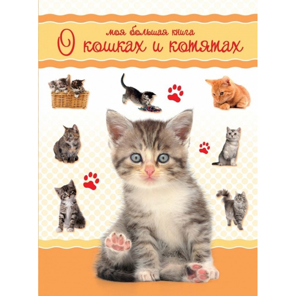 Енциклопедия Моя большая книга о кошках и котятах