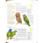 Птахи. Візуальна енциклопедія