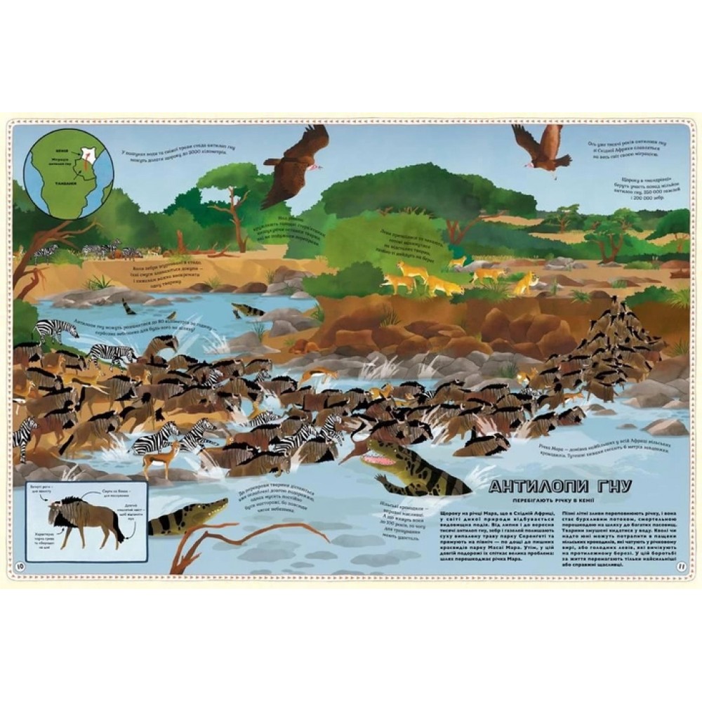 Атлас Тварин - Емілі Хокінс, Рейчел Вільямс