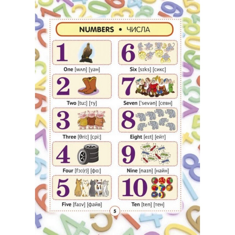 Англо-український візуальний словник. 48 тем. 1000 слів (з транслітерацією) - Олена Красікова