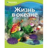 Жизнь в океане єнциклопедия Discovery Education