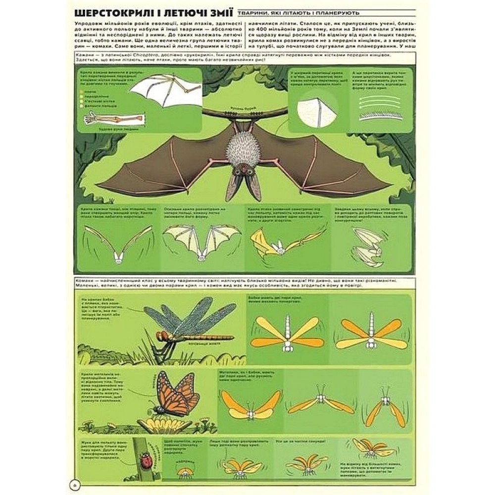 Але високо! Мальована історія авіації