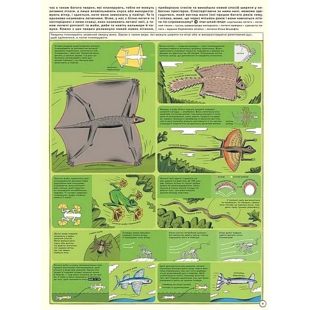 Але високо! Мальована історія авіації