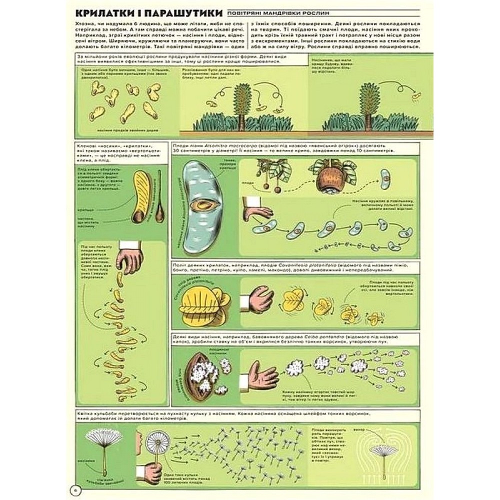 Але високо! Мальована історія авіації