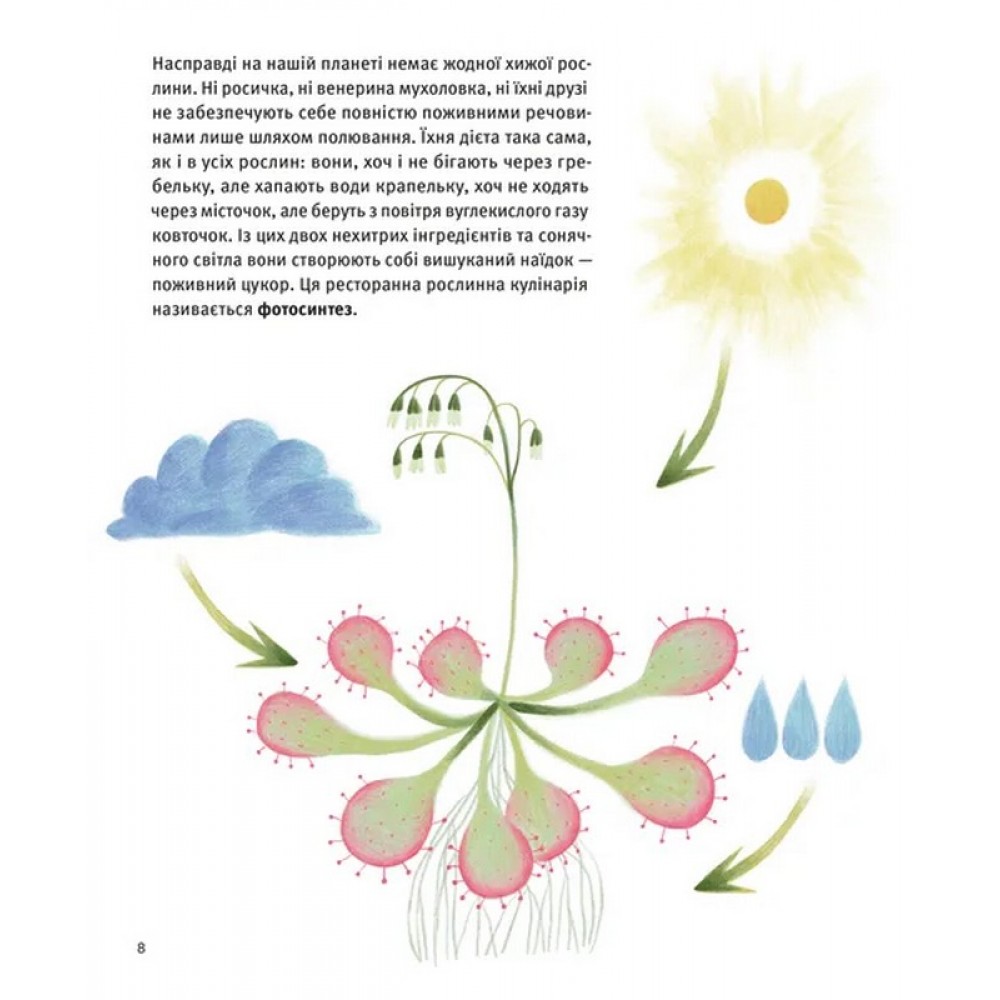 Хто такі хижі рослини?