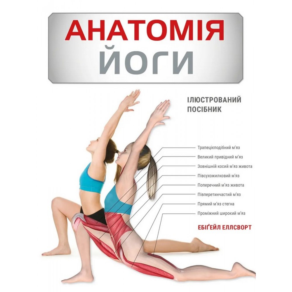 Анатомія йоги. Ілюстрований посібник - Ебіґейл Еллсворт