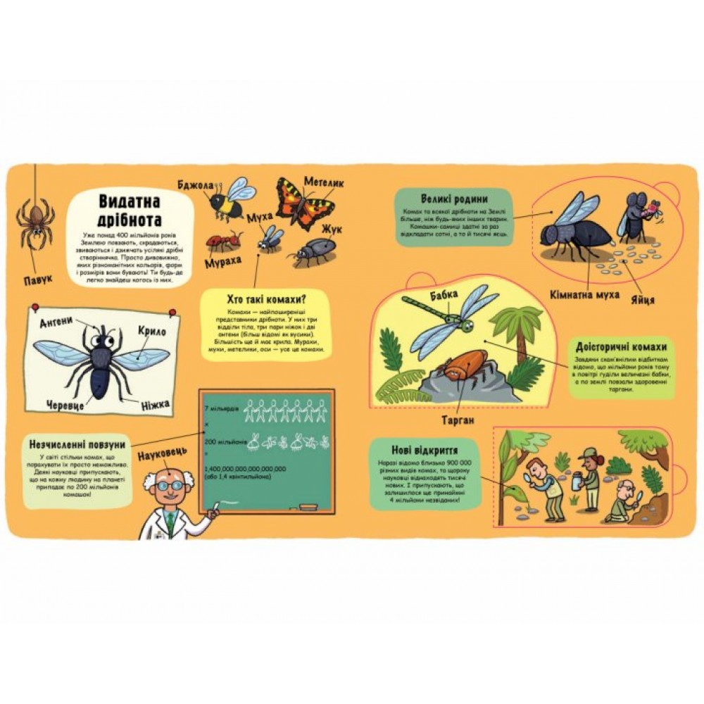 Маленькі дослідники. Комашки - переклад Тетяна Кузьменко (9786177563845)