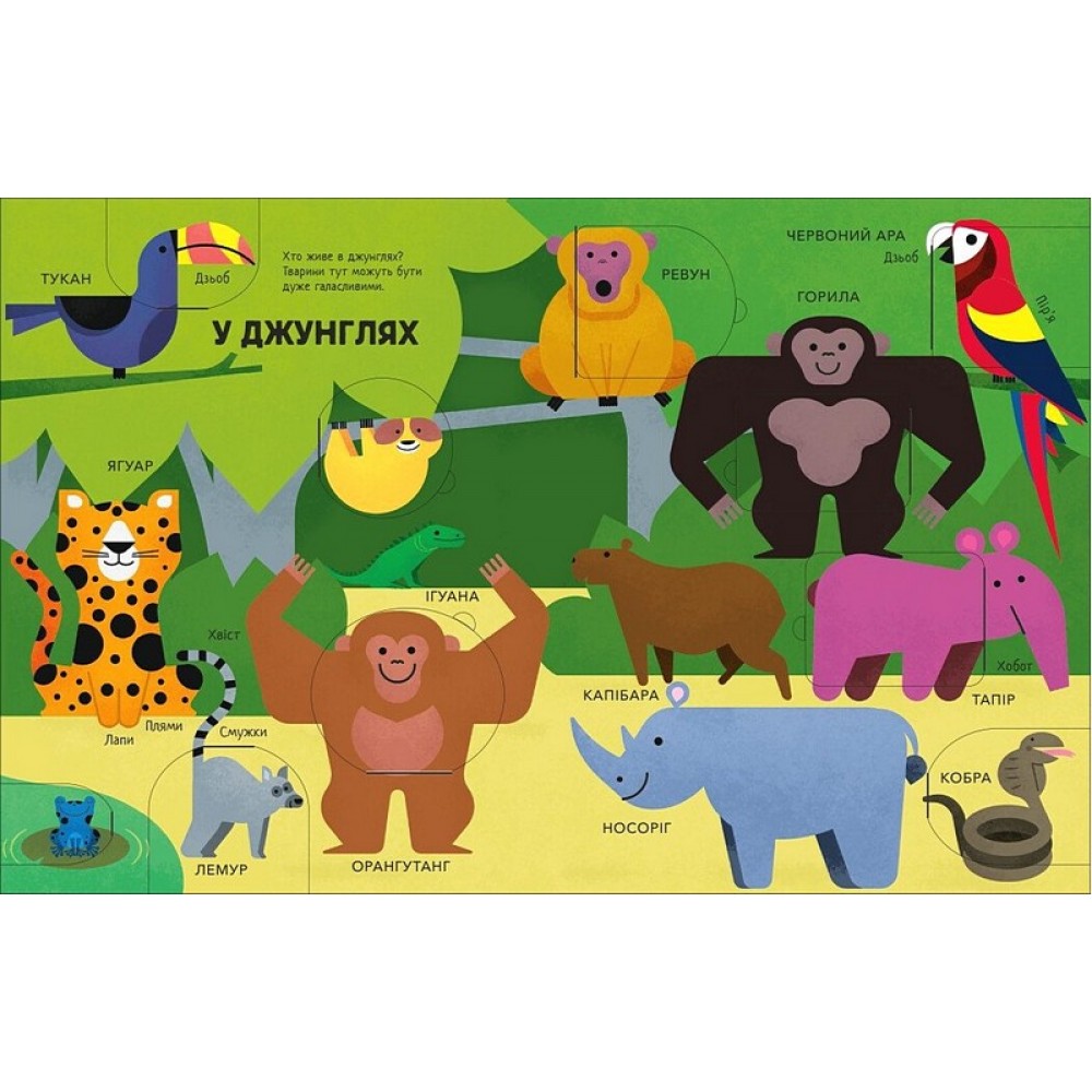 Моя перша книга з віконцями. Тварини - Енн Макрей